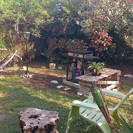 Studio Nature Et Beauregard 30M2 En Duplex Proche Lac, Cures Thermales Et Commerces Saint-Paul-lès-Dax Exterior foto